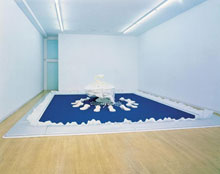 Matthew Barney, Goodyear Field, 1996